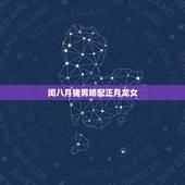 闰八月猪男婚配正月龙女，83年属猪女和88年属龙男配吗