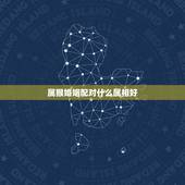 属猴婚姻配对什么属相好，属猴婚姻属相配对查询