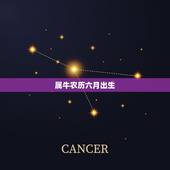 属牛农历六月出生，属牛六月出生的人