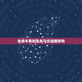 生肖牛男和生肖马女结婚好吗，属牛男和属马女婚配，求解