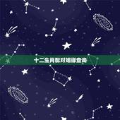 十二生肖配对姻缘查询，生肖配对姻缘查询是按阳历还是阴历