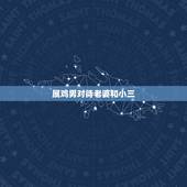 属鸡男对待老婆和小三，属鸡男越喜欢越不主动