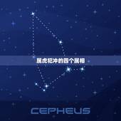 属虎犯冲的四个属相，牛和马属相合不合