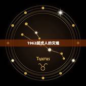 1962属虎人的灾难，1962年8月31阳历处女座的男人今年有什么灾难