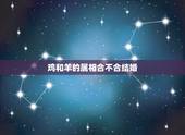 鸡和羊的属相合不合结婚，老虎和猪的属相合不合