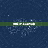 属鼠2021年运势及运程，84年属鼠的人2021年的运势及运程