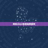 鸡在2022年的运势如何，1969年属鸡2022年运势