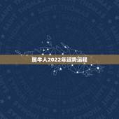属牛人2022年运势运程，属牛人2021年运势运程每月运程