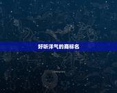 好听洋气的商标名，怎么给商标取个好名字呢？