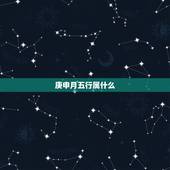 庚申月五行属什么，庚申月出生的人命运