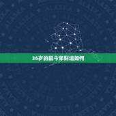 36岁的鼠今年财运如何，生肖84鼠36岁后运势