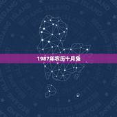 1987年农历十月兔，属兔1987年十月初五生日