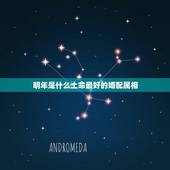 明年是什么土命最好的婚配属相，属蛇的最佳婚配是啥属相？