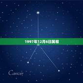 1997年12月6日属相，属牛人阴历1997年12月6日午时出生的命运