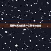 属狗和属猪的生什么属相的宝宝，我属狗老婆属猪，生什么生肖孩子好