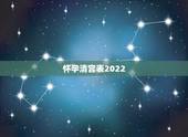 怀孕清宫表2022，清宫图2023年生男生女表怎么算