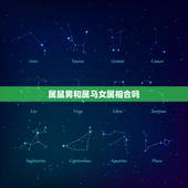 属鼠男和属马女属相合吗，男属马女属鼠配吗