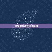 16岁虚岁适合什么属相，属羊是哪一年的，今年多大？