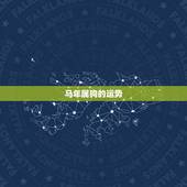 马年属狗的运势，宋韶光2017年属狗人运程