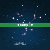 生肖兔和什么配，兔和什么生肖最配婚