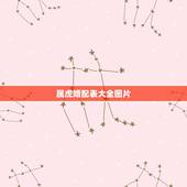 属虎婚配表大全图片，男女属相婚配表大全