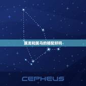 属龙和属马的婚配好吗，属龙的跟属马的相配吗
