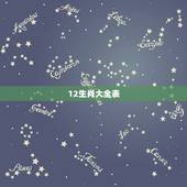 12生肖大全表，生肖卡2022 年