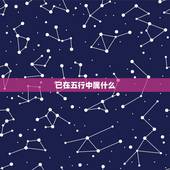 己在五行中属什么，巳时在五行中属什么