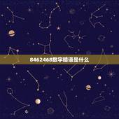 8462468数字暗语是什么，数字暗语
