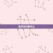 奕字五行属什么，奕 字的五行到底是什么，木还是土？