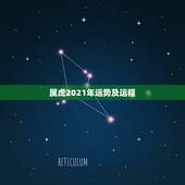 属虎2021年运势及运程，1962年属虎的人2021年运势怎样？男性女