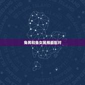 兔男和兔女属相最配对，女兔和什么生肖最配