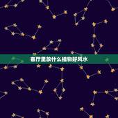 客厅里放什么植物好风水，家里财位放什么植物好