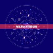 老鼠怎么消灭最彻底，怎样灭老鼠效果彻底