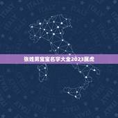 张姓男宝宝名字大全2023属虎 2023兔年张姓最旺男孩名字