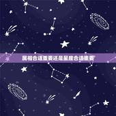 属相合适重要还是星座合适重要，生肖和星座哪个更重要