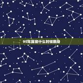 95年属猪什么时候翻身，95年属猪的三大坎