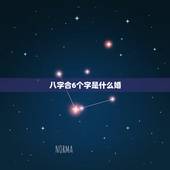 八字合6个字是什么婚，八字中有六字相合是最好的吗