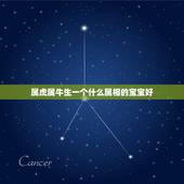 属虎属牛生一个什么属相的宝宝好，属鼠爸爸与属虎妈妈生个什么属相宝宝最好