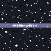 两个属鼠的结婚好不好，两个属鼠的人婚配好不好