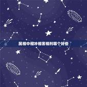 属相中相冲相害相刑哪个好些，大家怎麼看待 传统婚配中属相的相克，相害和