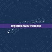 新娘属鼠伴娘可以找同属相吗，新娘属猪，新郎属鼠，请问找伴郎伴娘应该是什