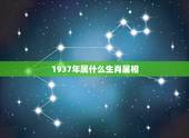 1937年属什么生肖属相，1937年属生什么生肖出生？