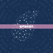 葫芦摆件图片，红酸枝葫芦图片