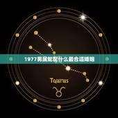 1977男属蛇配什么最合适婚姻(如何选择伴侣)