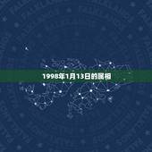 1998年1月13日的属相，1980年公历1月13日属相什么？
