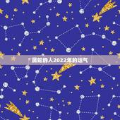 属蛇的人2022年的运气，2023年属蛇人的全年运势
