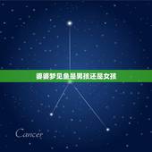 婆婆梦见鱼是男孩还是女孩，老公梦到鱼是怀男孩还是女孩