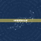 9岁属龙是什么命，9岁的龙是哪一年
