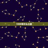 1999年什么土命，1999年城墙土命好不好